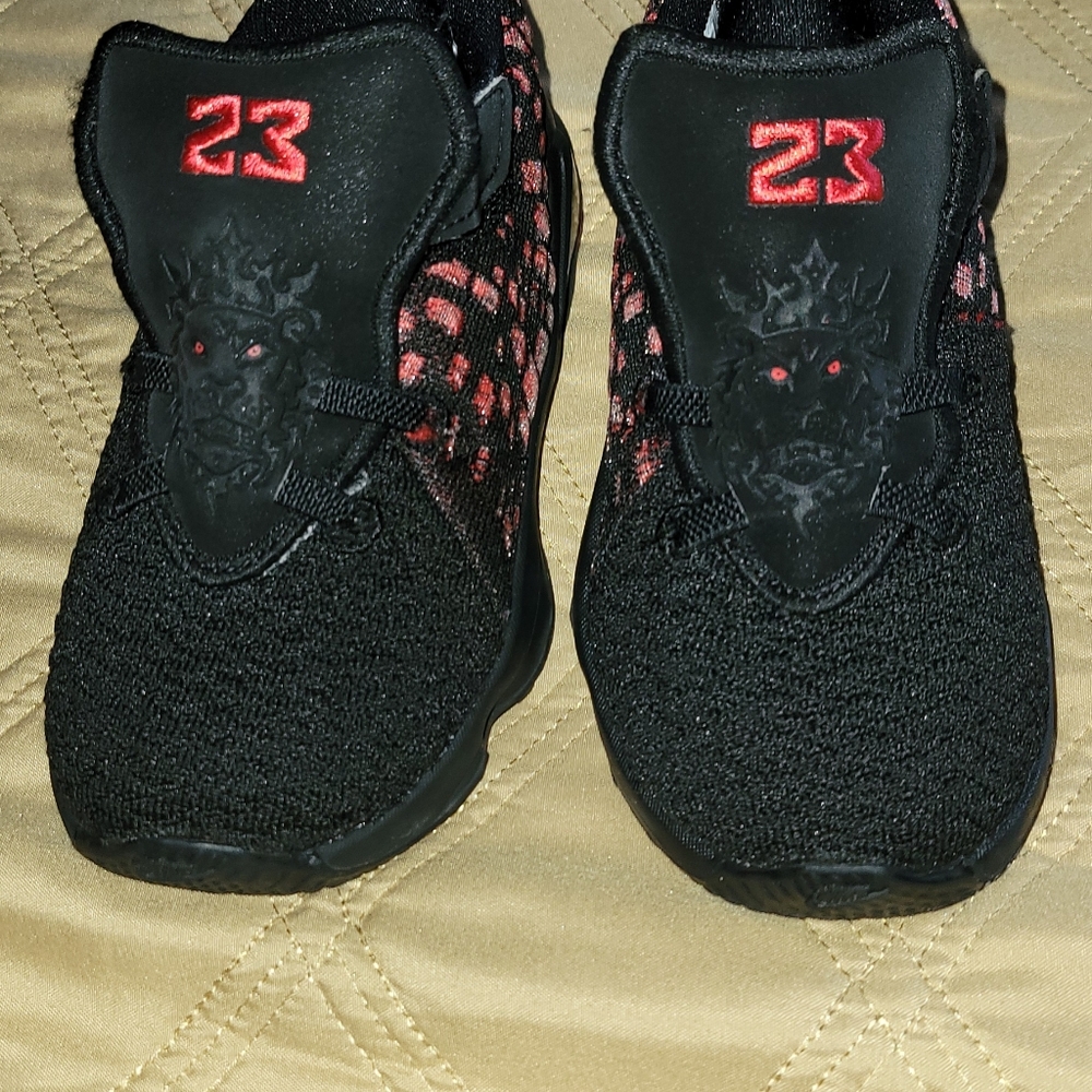 Toddler Lebron by Nike sneakers